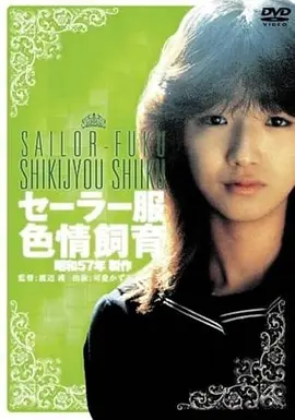 1985年票房榜复盘